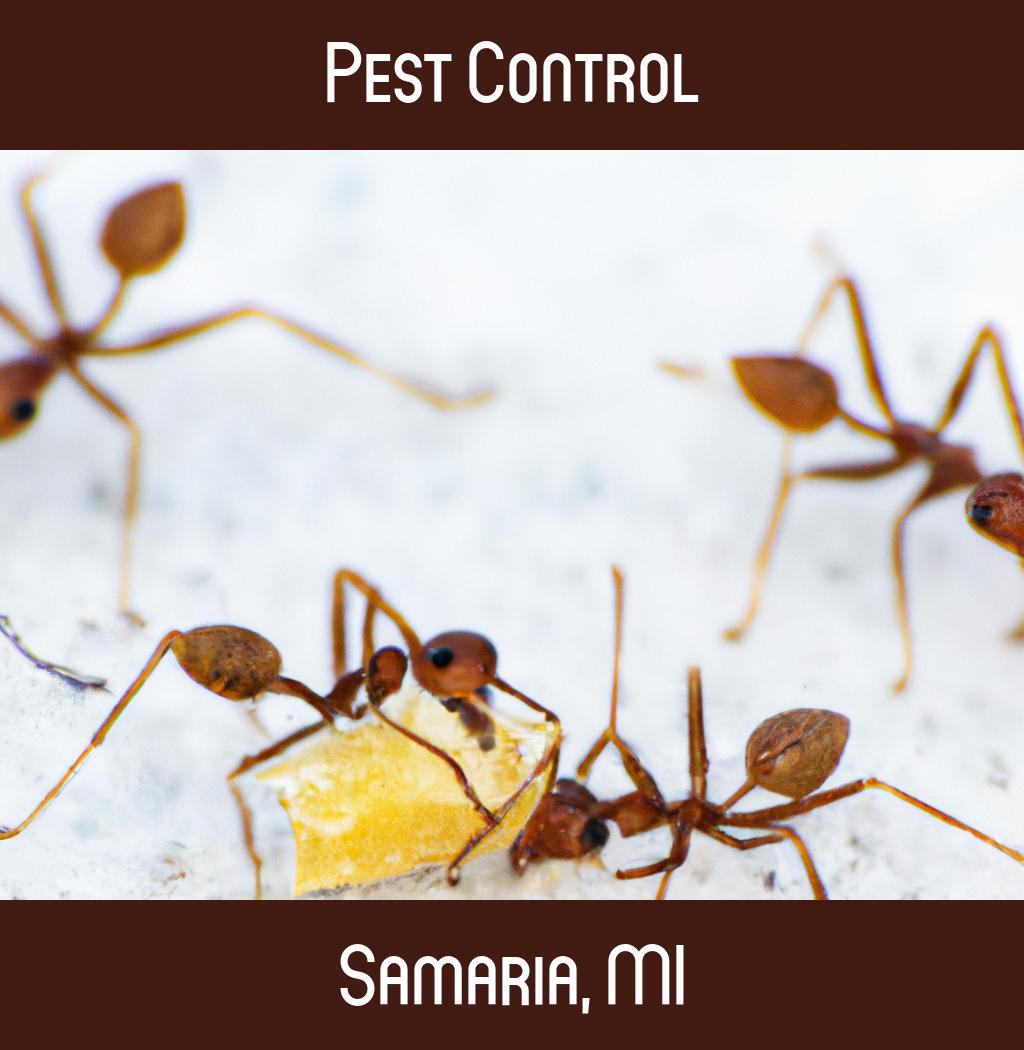 pest control in Samaria Michigan