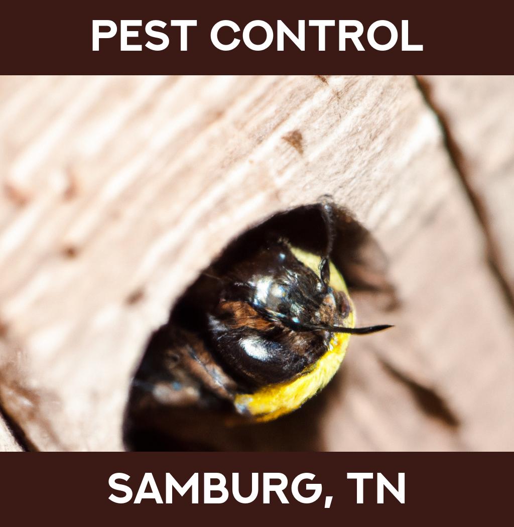 pest control in Samburg Tennessee