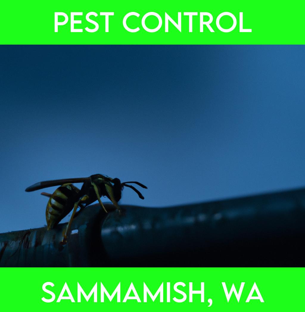 pest control in Sammamish Washington