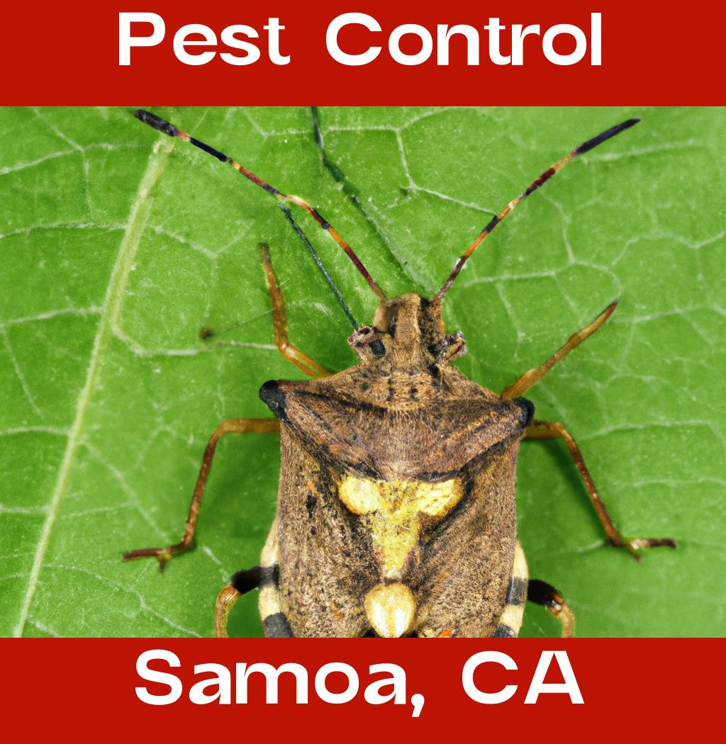 pest control in Samoa California