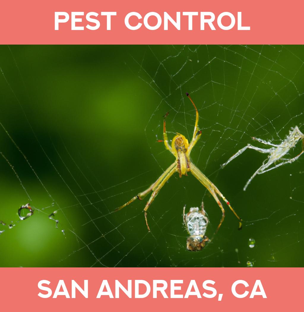 pest control in San Andreas California