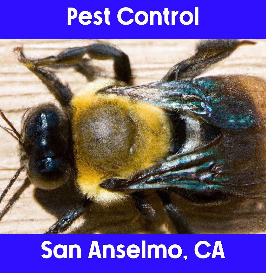 pest control in San Anselmo California