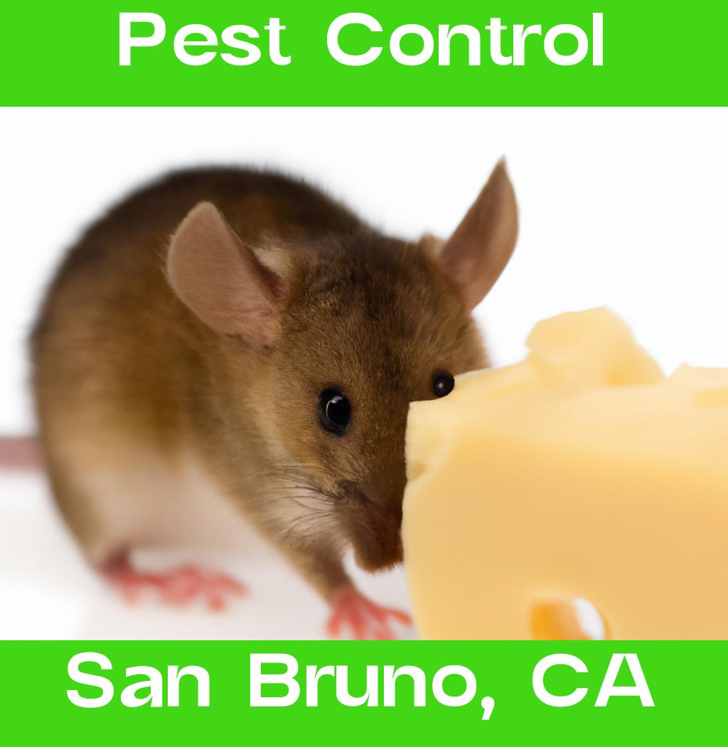 pest control in San Bruno California