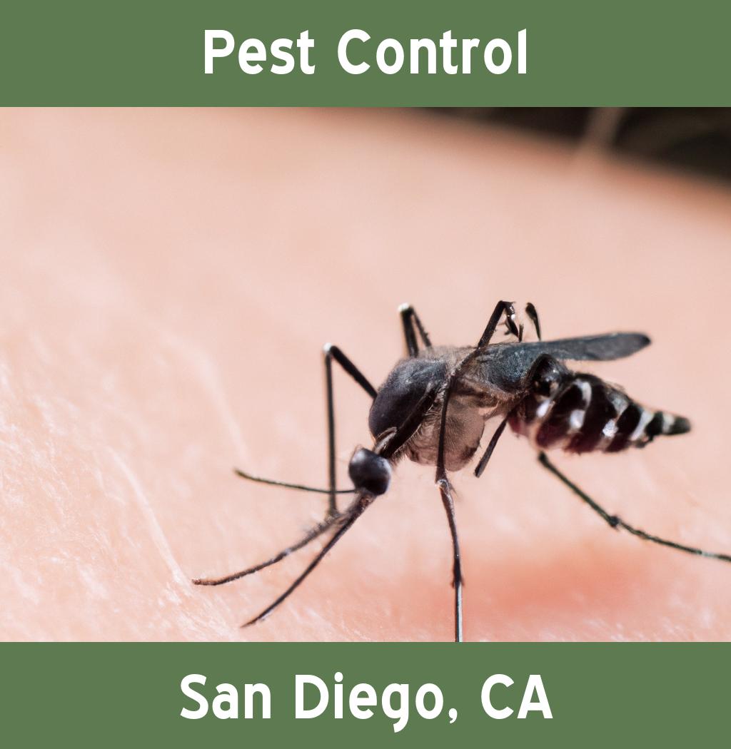 pest control in San Diego California
