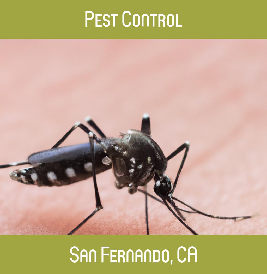 pest control in San Fernando California