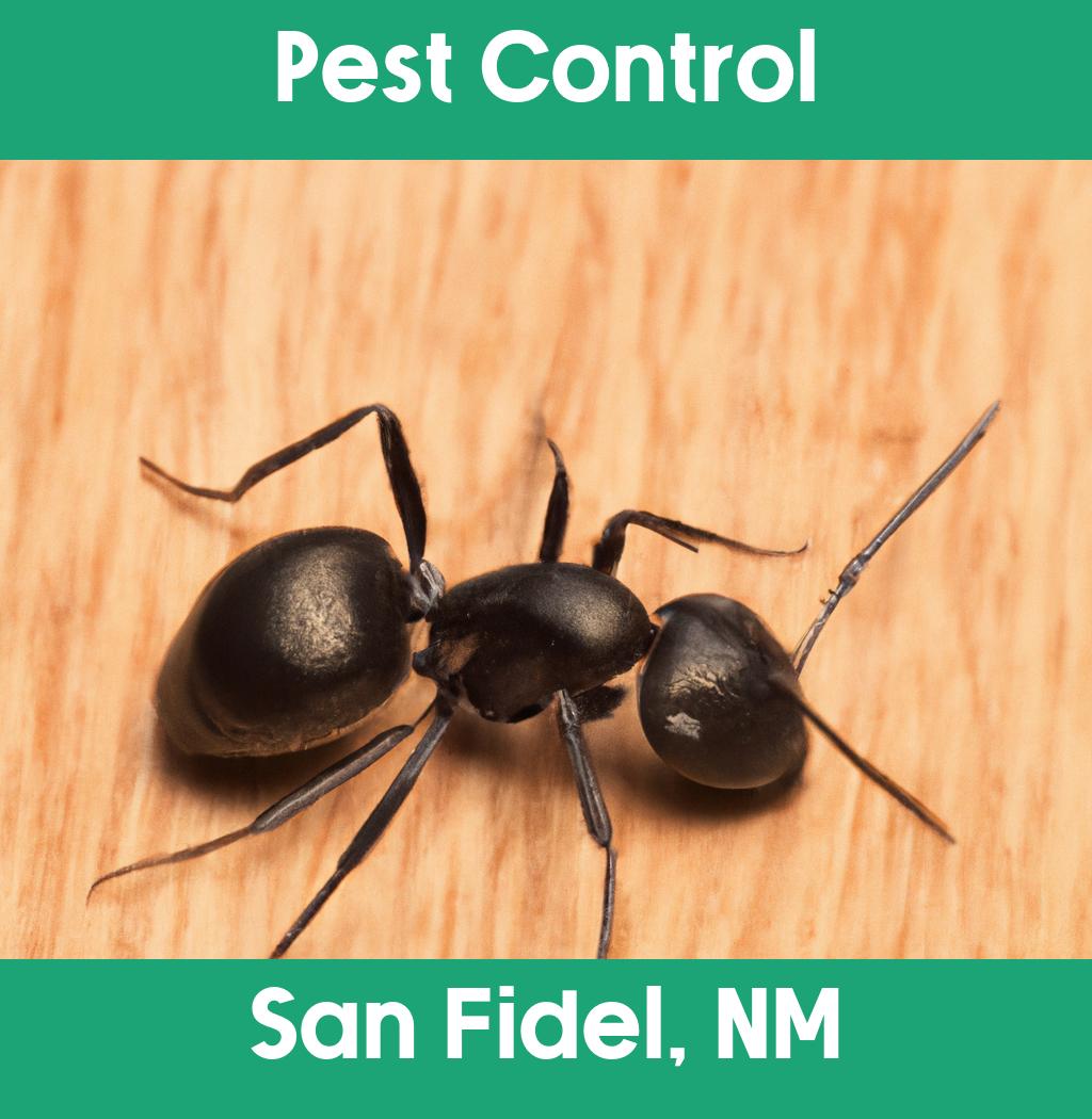 pest control in San Fidel New Mexico