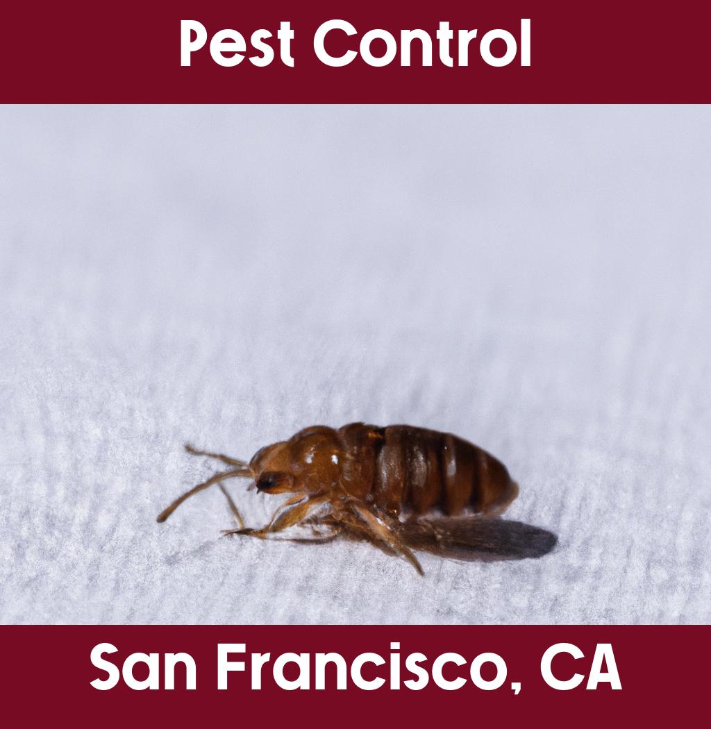 pest control in San Francisco California