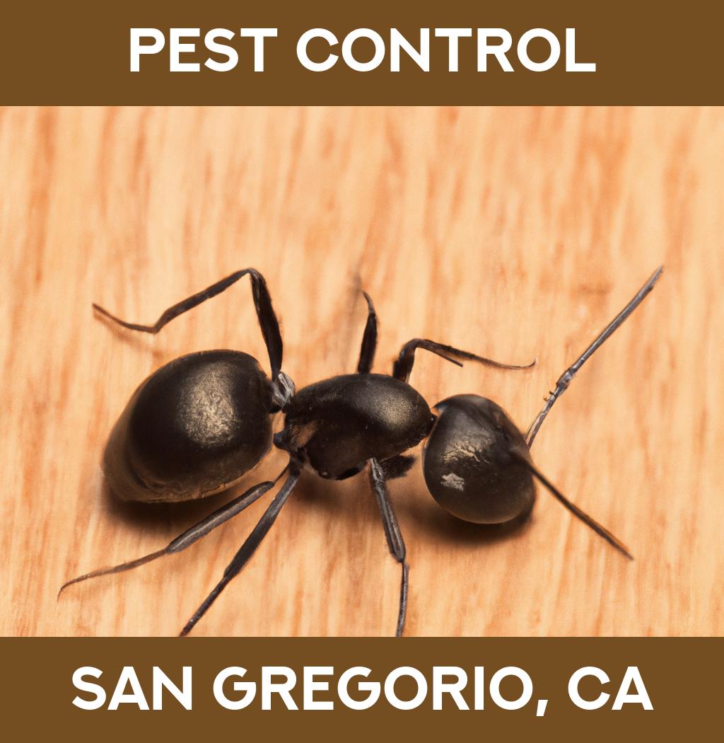 pest control in San Gregorio California