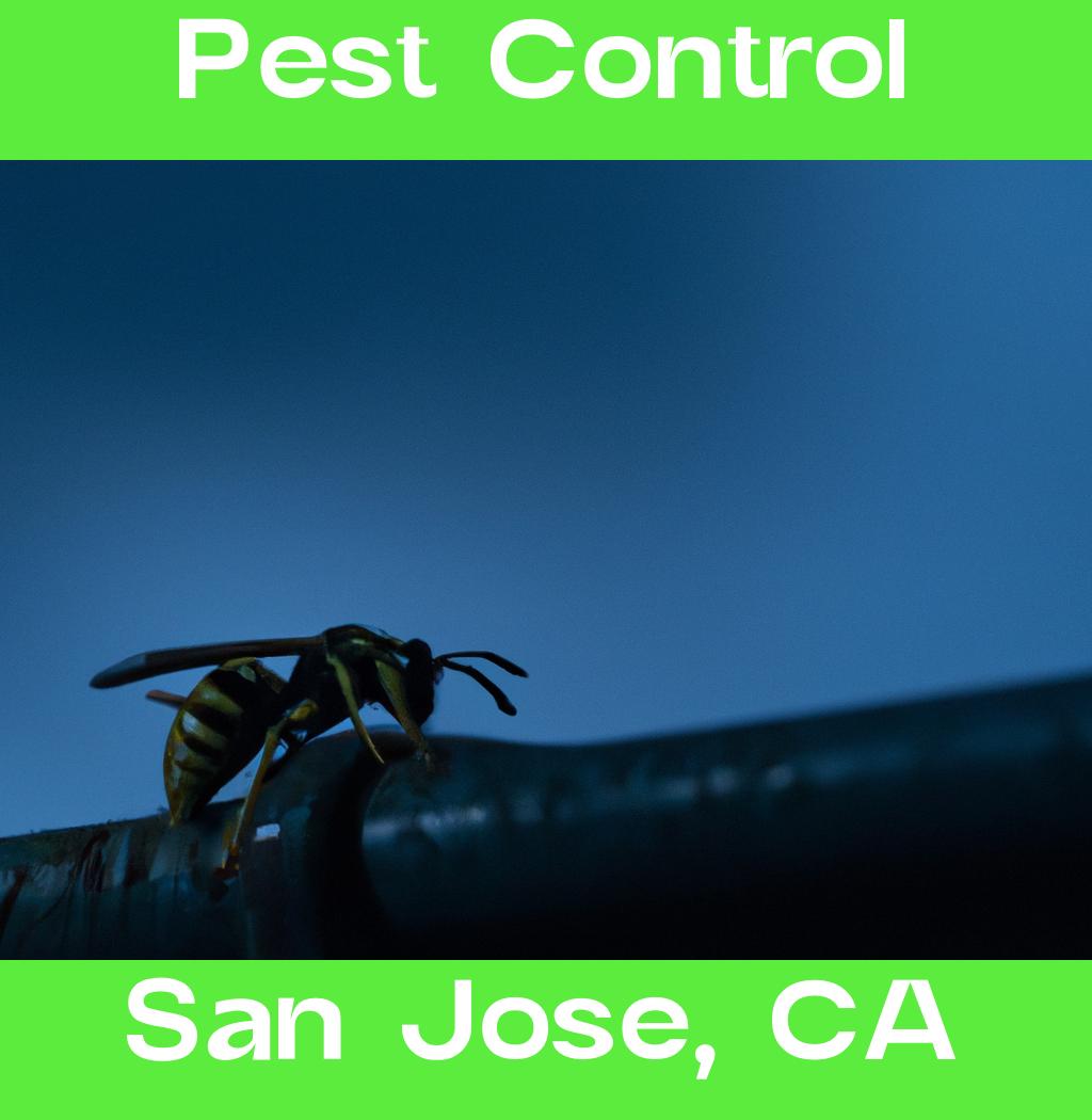 pest control in San Jose California