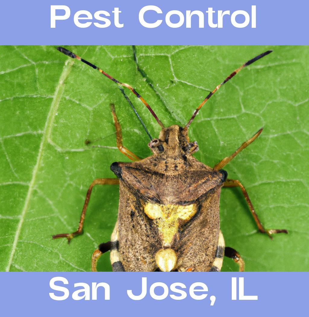 pest control in San Jose Illinois