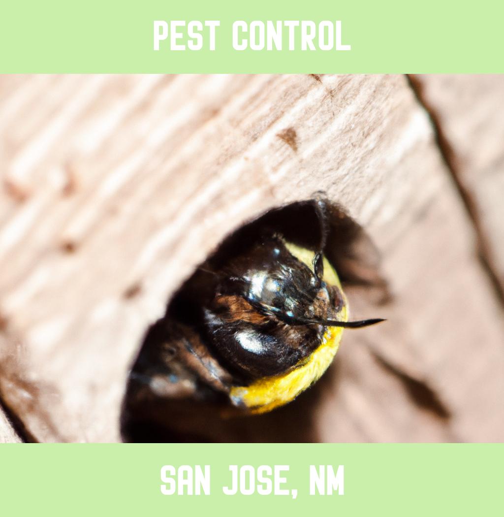 pest control in San Jose New Mexico