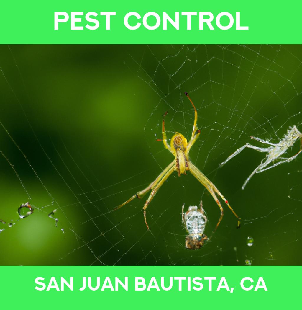 pest control in San Juan Bautista California