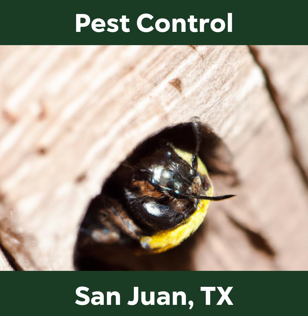 pest control in San Juan Texas