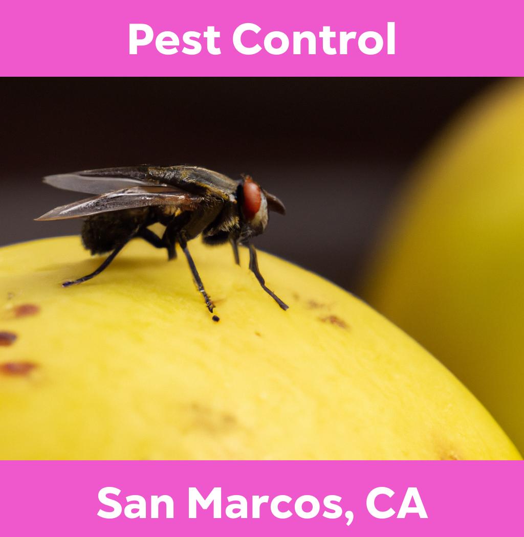 pest control in San Marcos California