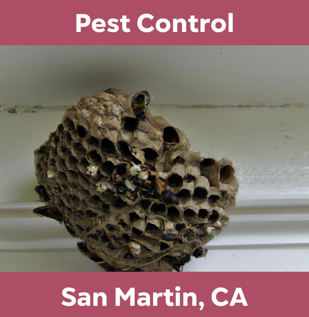 pest control in San Martin California