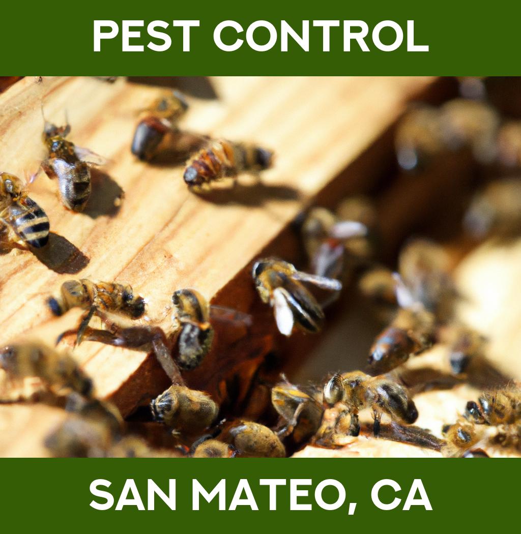 pest control in San Mateo California