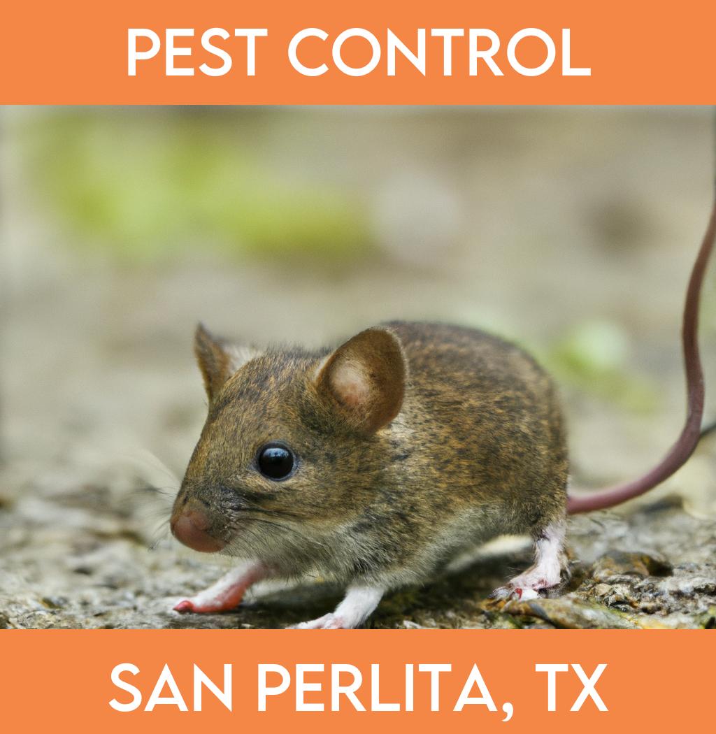 pest control in San Perlita Texas