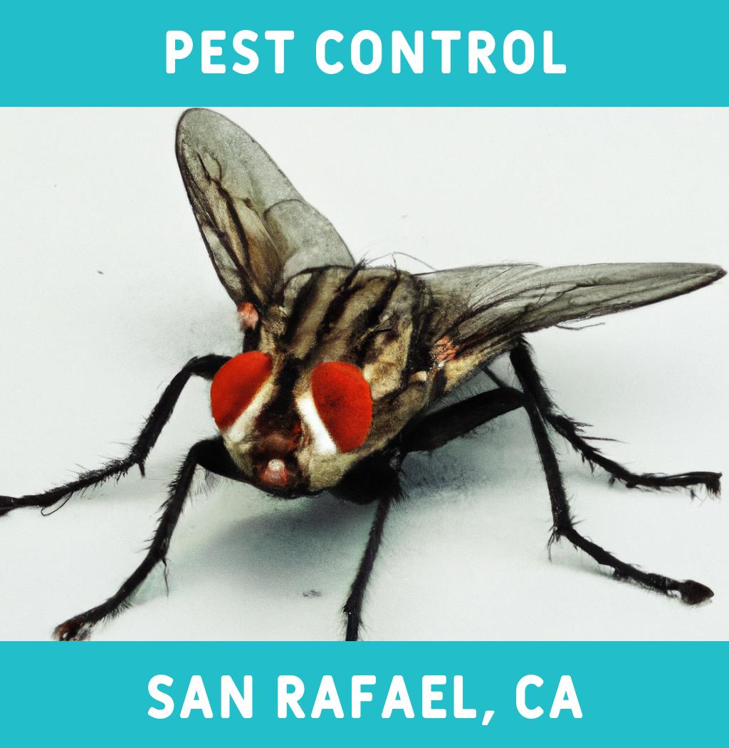 pest control in San Rafael California