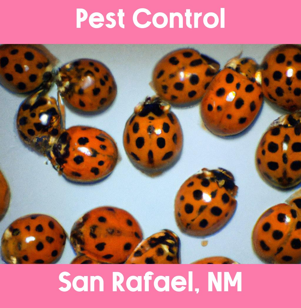 pest control in San Rafael New Mexico