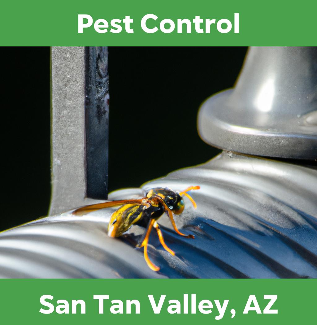 pest control in San Tan Valley Arizona