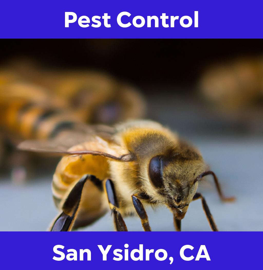 pest control in San Ysidro California