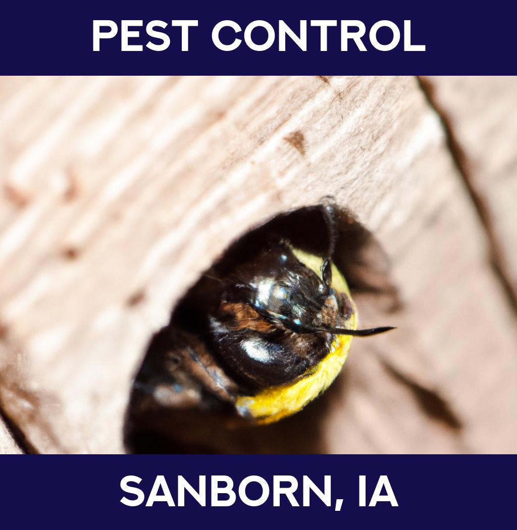 pest control in Sanborn Iowa