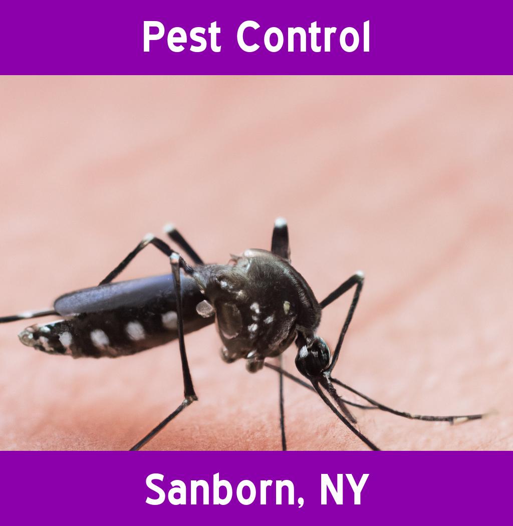 pest control in Sanborn New York