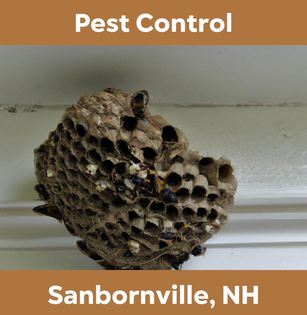 pest control in Sanbornville New Hampshire