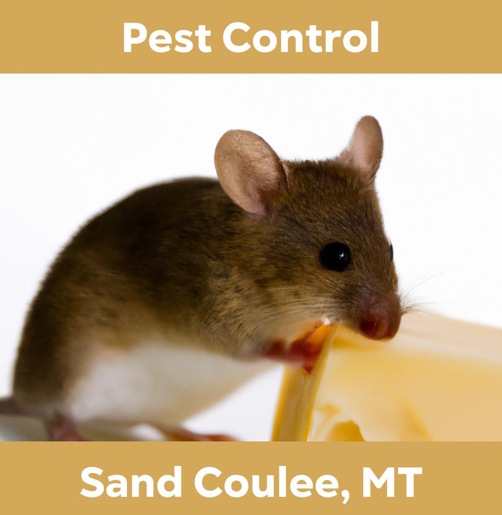 pest control in Sand Coulee Montana