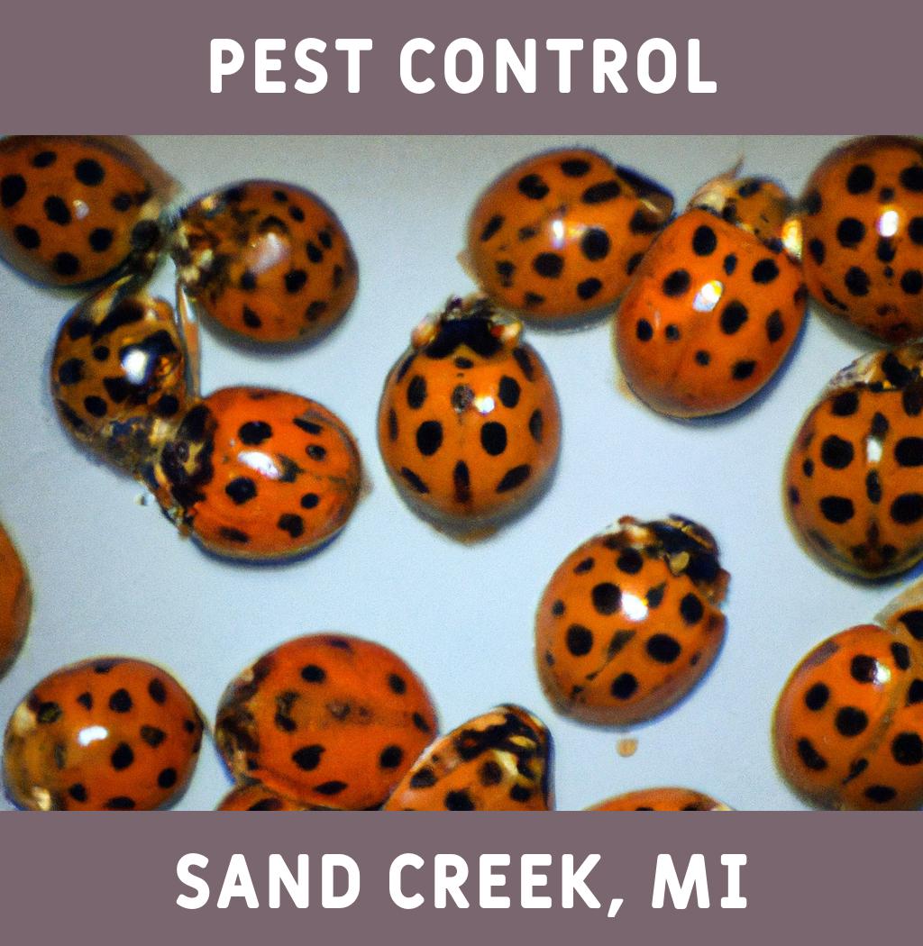 pest control in Sand Creek Michigan