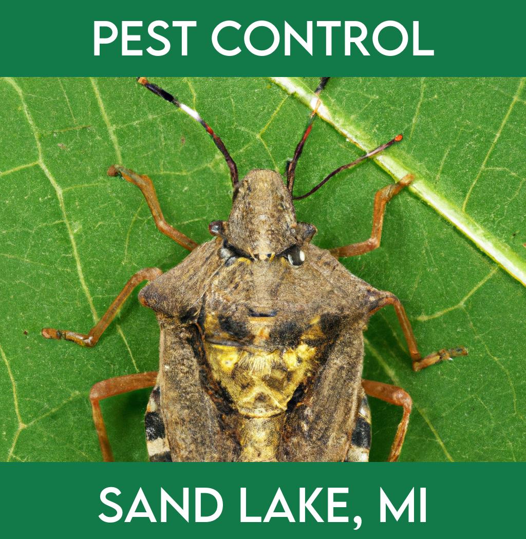 pest control in Sand Lake Michigan