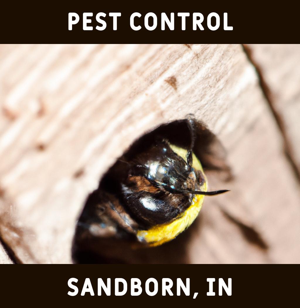 pest control in Sandborn Indiana