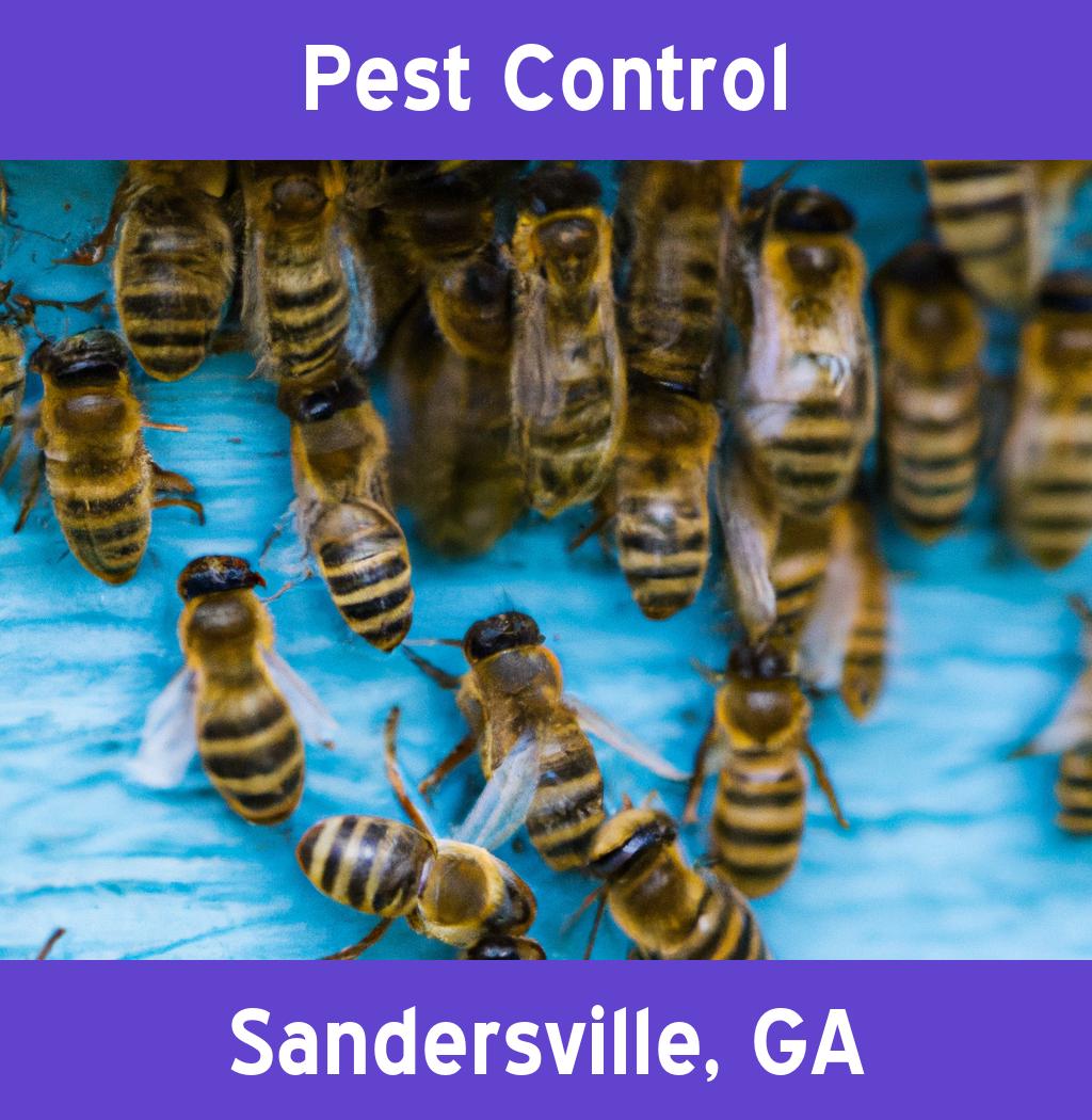 pest control in Sandersville Georgia