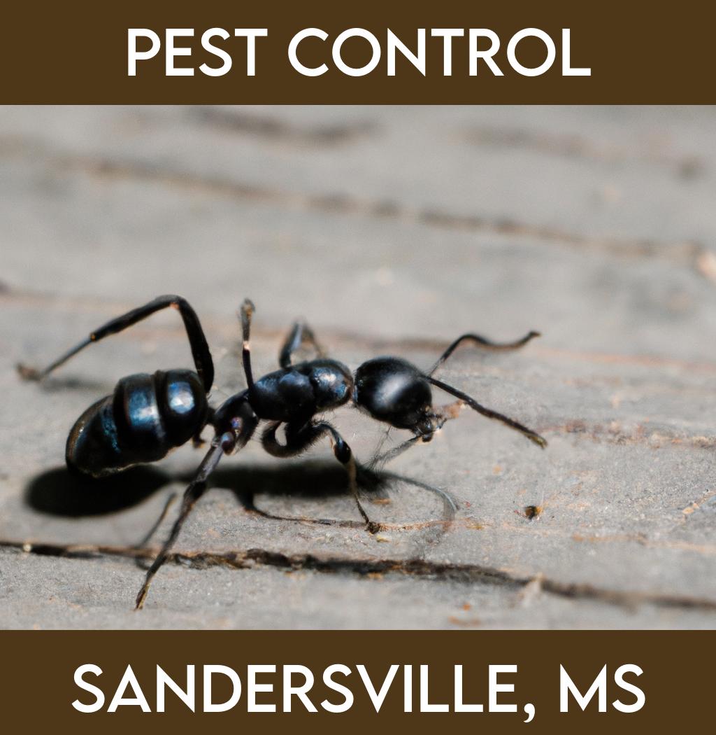 pest control in Sandersville Mississippi
