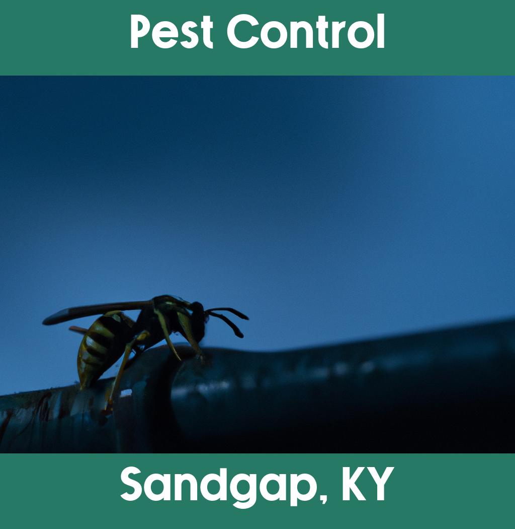 pest control in Sandgap Kentucky