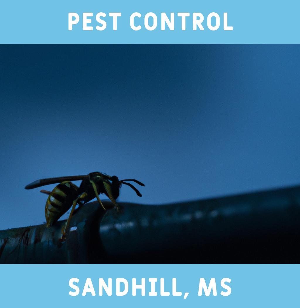 pest control in Sandhill Mississippi