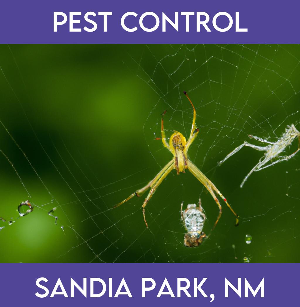 pest control in Sandia Park New Mexico