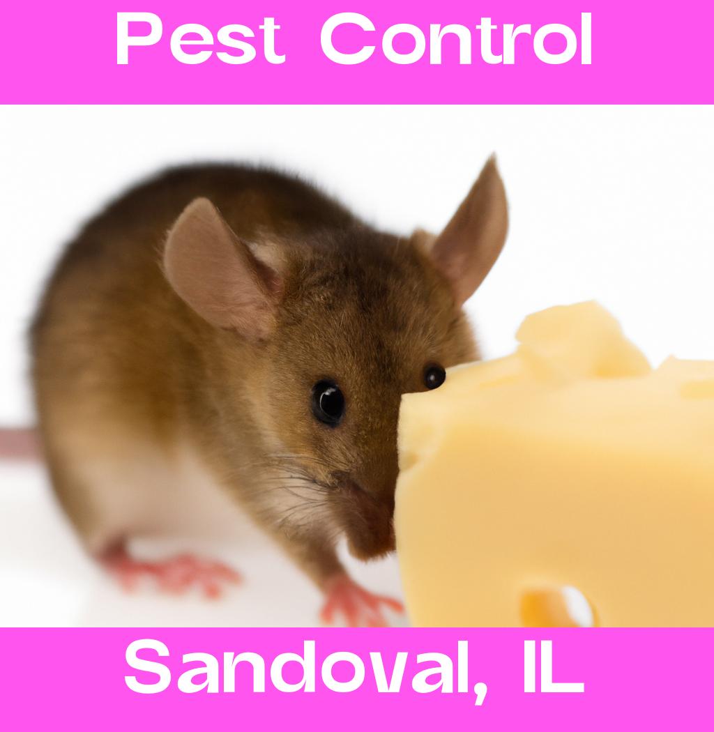 pest control in Sandoval Illinois