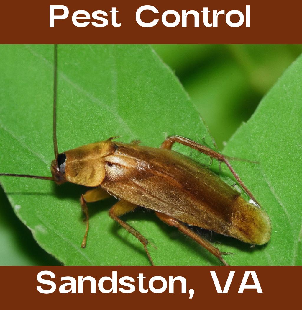 pest control in Sandston Virginia