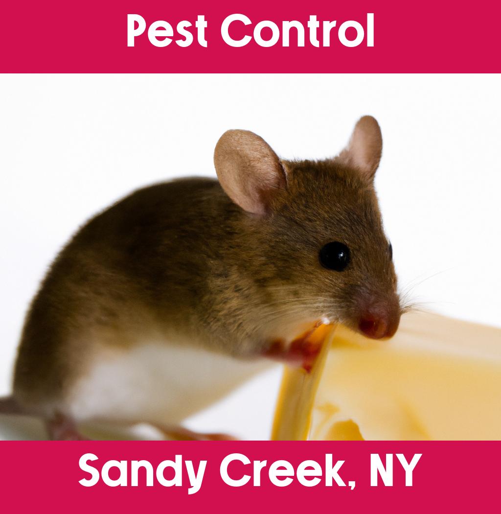 pest control in Sandy Creek New York