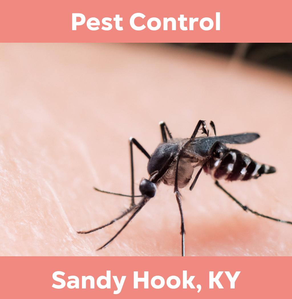 pest control in Sandy Hook Kentucky