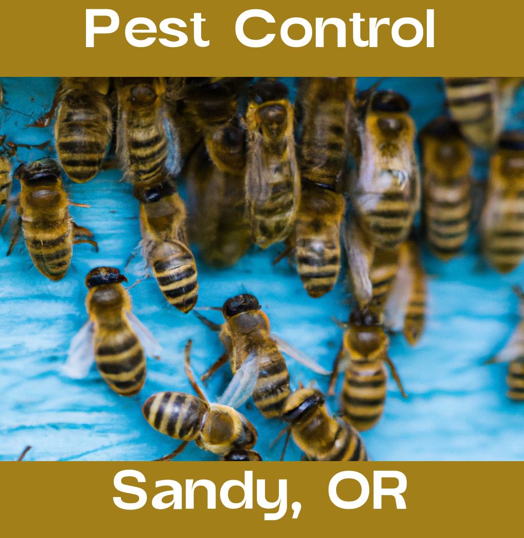 pest control in Sandy Oregon