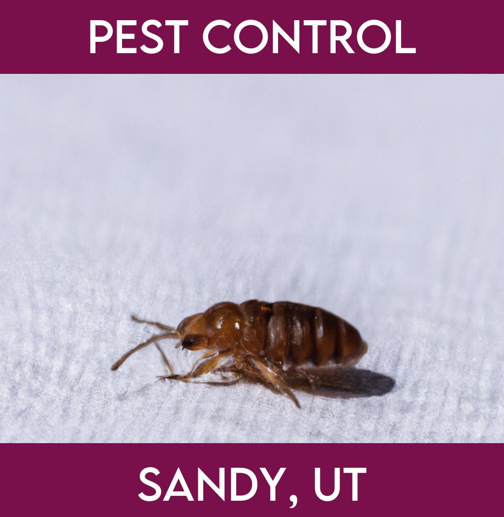 pest control in Sandy Utah