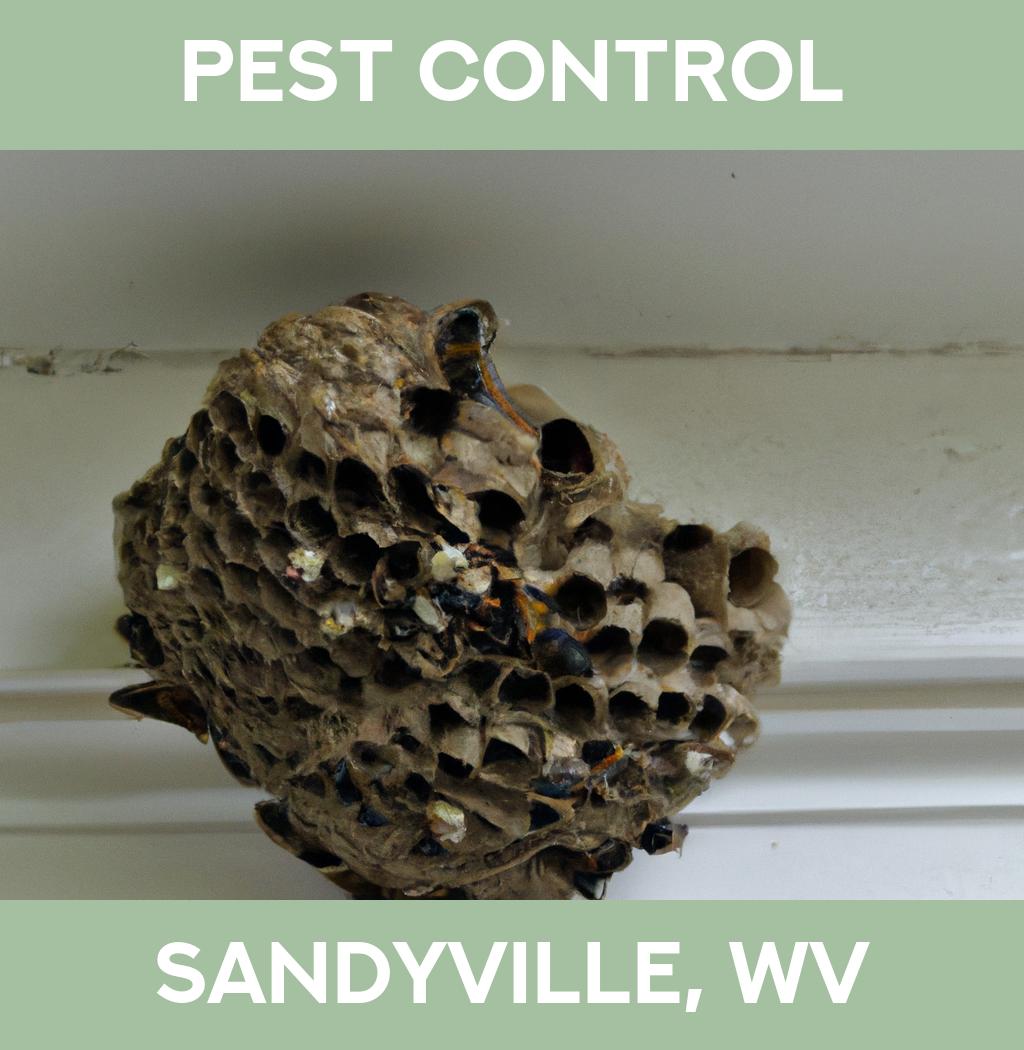 pest control in Sandyville West Virginia