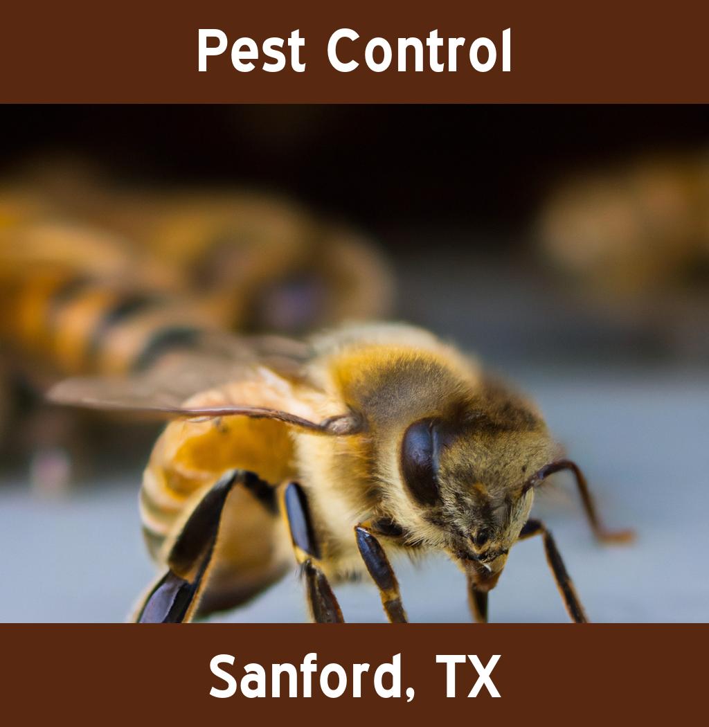 pest control in Sanford Texas