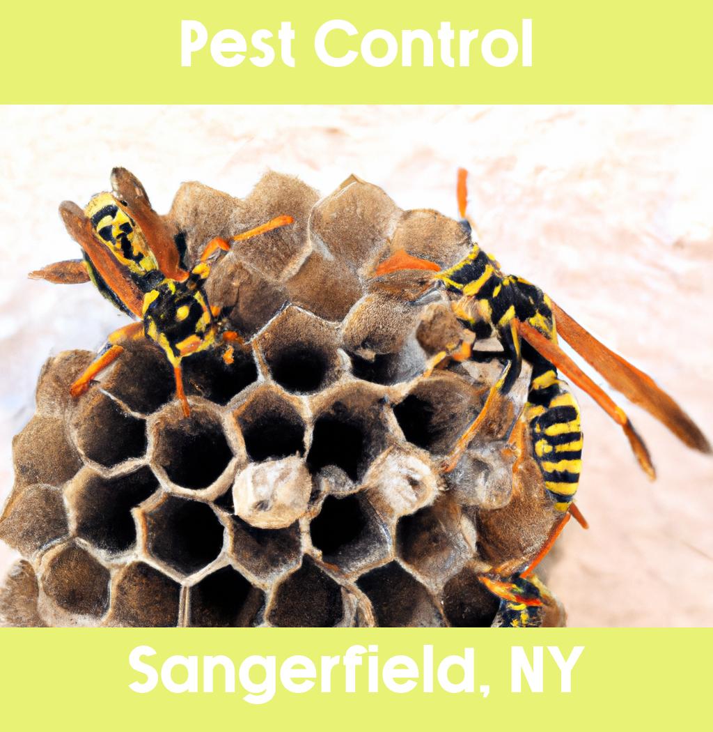 pest control in Sangerfield New York