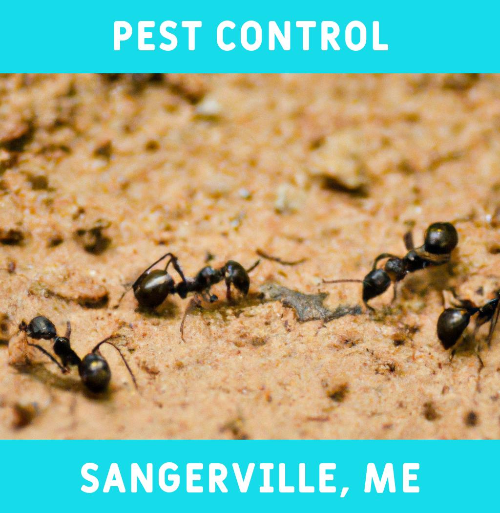 pest control in Sangerville Maine
