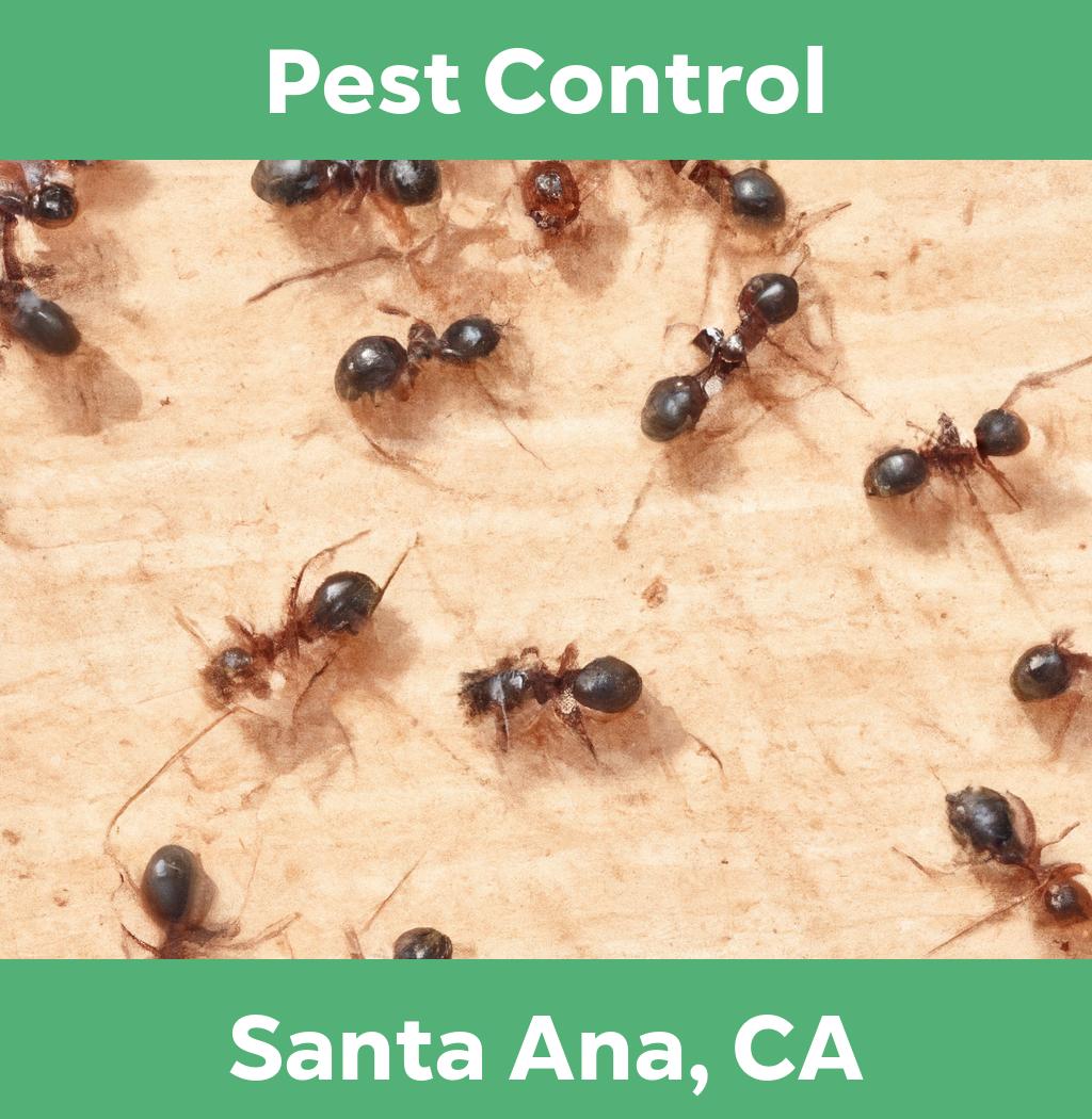 pest control in Santa Ana California