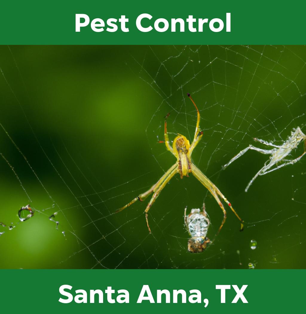 pest control in Santa Anna Texas