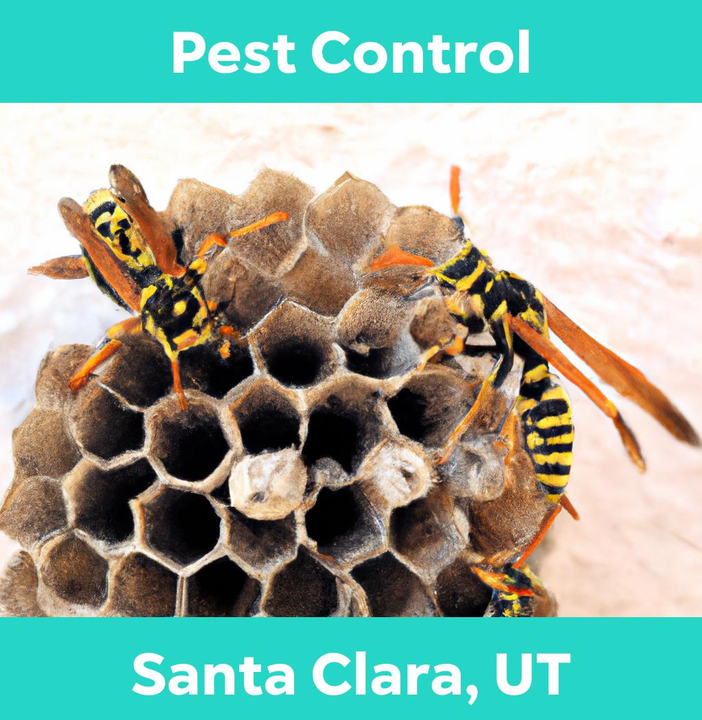 pest control in Santa Clara Utah